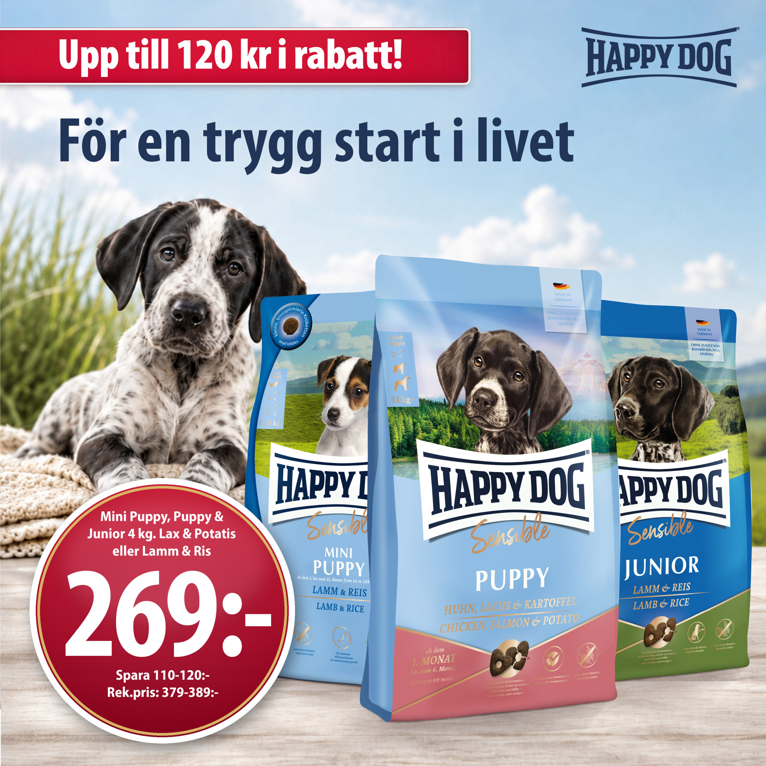 MFK-PR41633-HD-MiniPuppy-Puppy-Junior-4kg-1080px